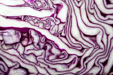 Obraz premium Purple cabbage. Full frame cabbage in section. Cabbage texture. Macro photography