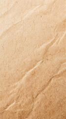 Fototapeta premium Brown Paper Texture