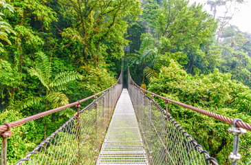Hanging bridge in the rainforest of Costa Rica