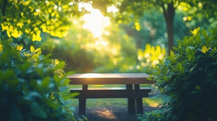 Naklejka premium Tranquil Forest Picnic Table Bathed in Golden Light