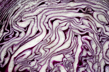 Obraz premium Purple cabbage. Full frame cabbage cut. Cabbage macro texture