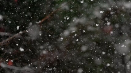 Slow motion tracking shot of snow falling with a pan toward a snow man, in a back yard in Chapel Hill North Carolina in winter - Powered by Adobe