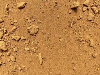 Rough and grainy dirt texture with various shades of brown and tan, outdoor, dirt