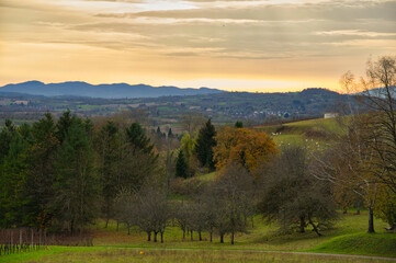 Ortenau im Spätherbst