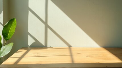 Fototapeta premium A serene indoor scene with a wooden table illuminated by natural light, featuring soft shadows and a green plant.