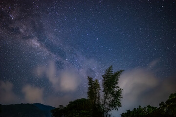 Night landscape under the stars