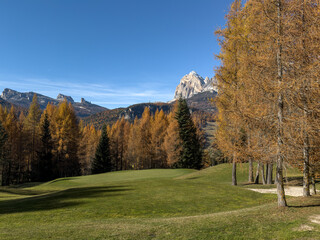 Cortina golf court