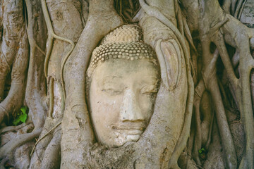 Head statue with trapped in Bodhi Tree roots at Wat Maha That in Ayutthaya Province, Thailand