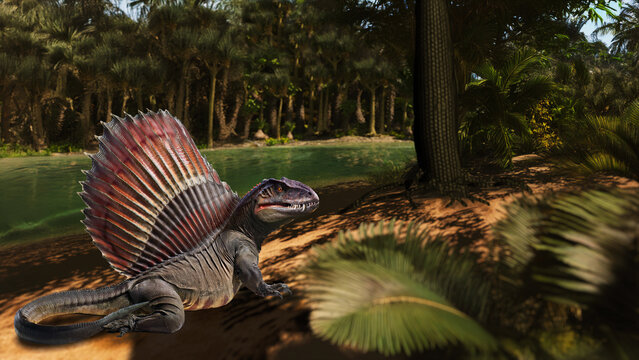 Dimetrodon In Permo-Carboniferous Coal Swamp
