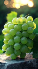 Lush Green Grapes at Sunset
