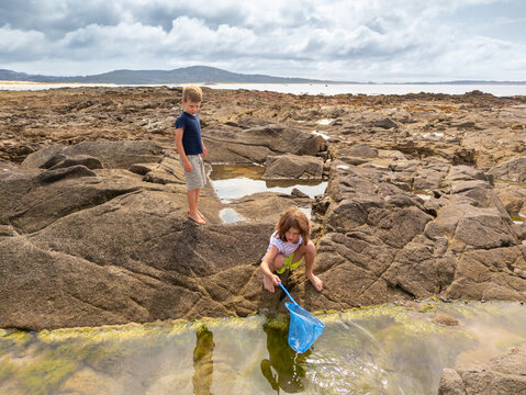 Young children boy and girl siblings playing outdoors at a seaside rock pool with fishing net on the coast of Galicia, Spain