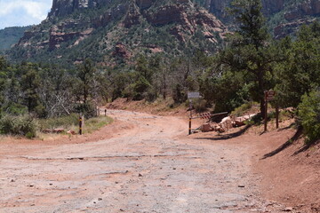 Western landscapes scenes dirt road