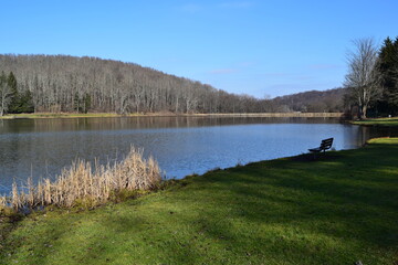 Tranwui lake and forest on a sunny day