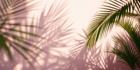 Obraz premium Palm Fronds Casting a Shadow on a Pink Wall