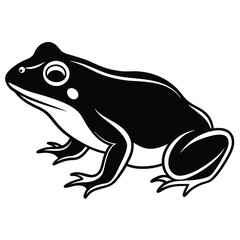 Fototapeta premium African Bullfrog Silhouette Vector Illustration Concept