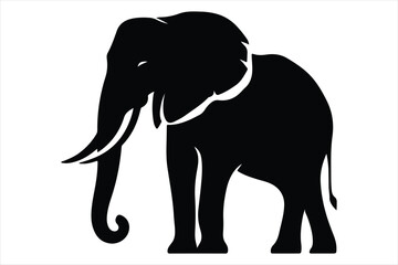 Obraz premium A black and White Elephant Silhouette