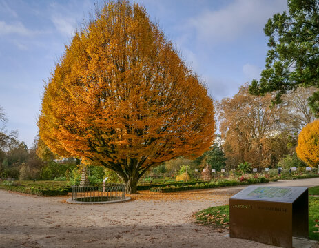 Parc de l'Arquebuse &agrave; Dijon en France