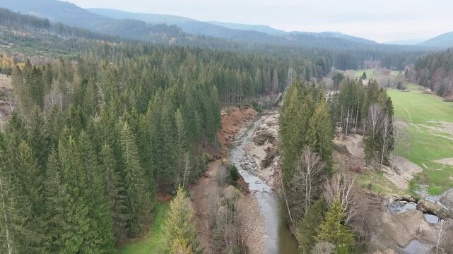River meander mountain Jeseniky autumn fall after flood drone aerial in sandy delta sand alluvium, benches forest spruce wetland Cerna Opava swamp, quadcopter color view flying, Europe