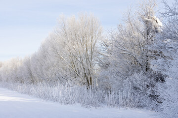 Fototapeta premium Winterwunderland in der Stadt Linz