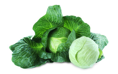 Obraz premium Two whole ripe cabbages isolated on white