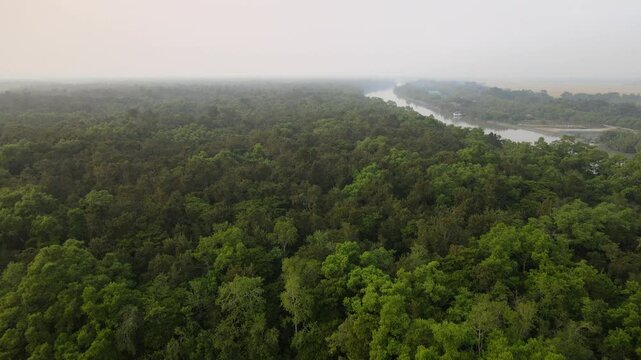 Drone footage of Sundarbans. Largest natural mangrove forest in the world at Khulna, Bangladesh. The Sundarbans