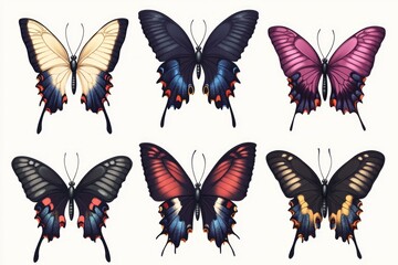 Fototapeta premium Six colorful butterflies on a plain white surface