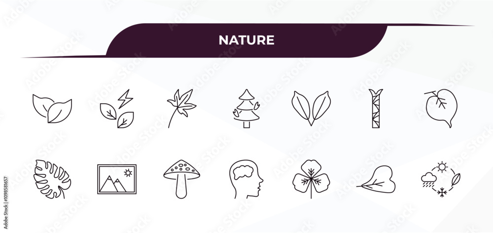 Poster fully editable outline icon collection from nature concept. thin line icons set such as bilberry lea