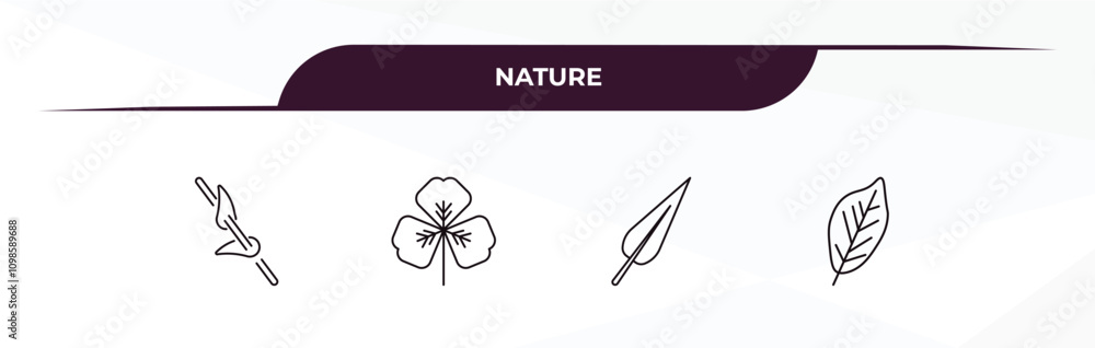 Poster fully editable outline icon collection from nature concept. thin line icons set such as perfoliate, 