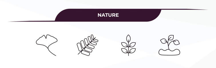 Fototapeta premium fully editable outline icon collection from nature concept. thin line icons set such as ginkgo, gooseberry leaf, american mountain ash, seeding,