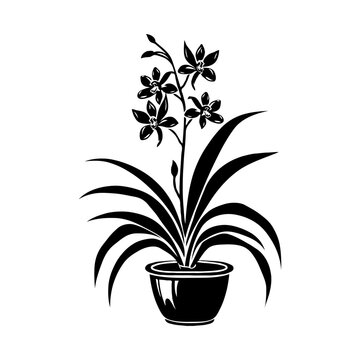 black orchid plant in pot clip art preview