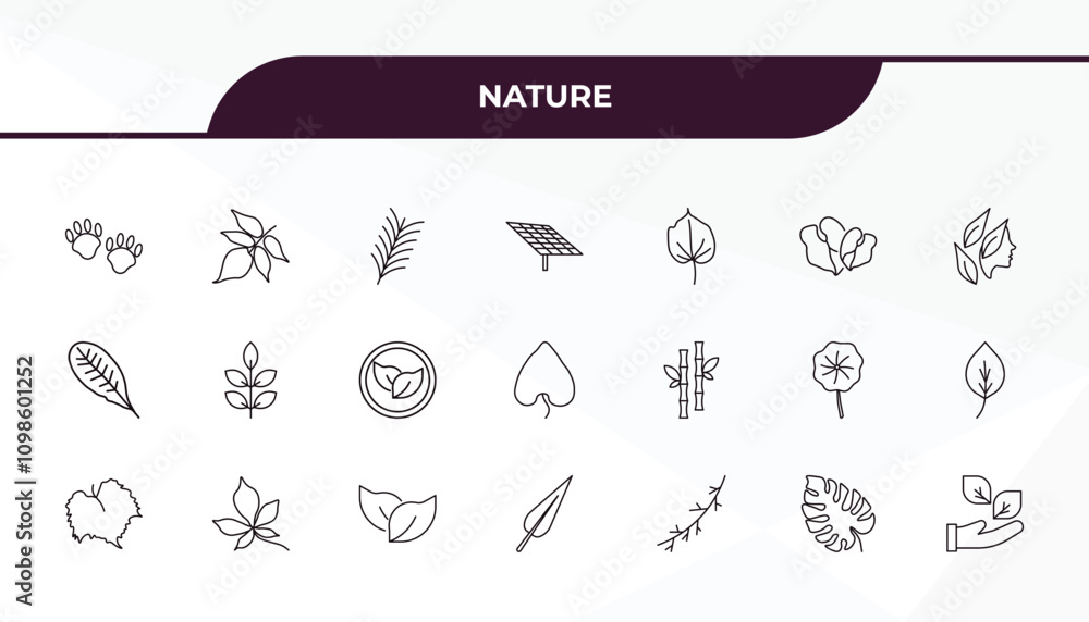 Poster fully editable outline icon collection from nature concept. thin line icons set such as four toe foo