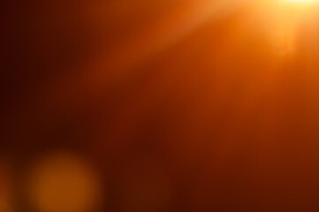 Warm sunlight filters through a golden haze creating an atmospheric glow