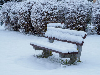 Snow-covered bench in a serene winter park with bushes in the background