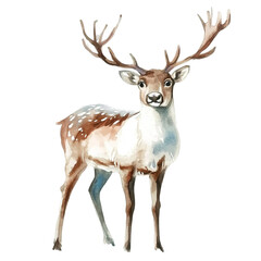 Fototapeta premium Watercolor Deer