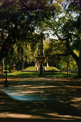Obraz premium savannah georgia