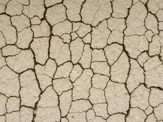 Rugged and weathered stone texture with intricate cracks and bumps, stone, texture