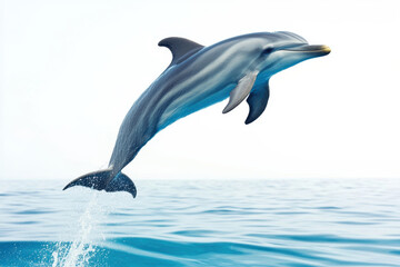 Fototapeta premium A majestic dolphin leaps gracefully out of the clear blue ocean, showcasing its agility and playful spirit in a serene marine environment.