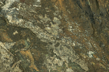A Colourful Rock Along Shoreline Of Lake Ontario