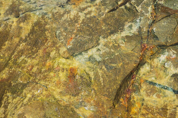 A Colourful Rock Along Shoreline Of Lake Ontario