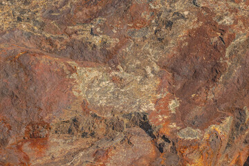 A Colourful Rock Along Shoreline Of Lake Ontario