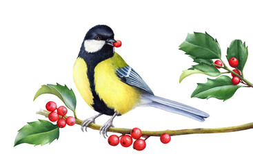Obraz premium Watercolor illustration of a titmouse sitting on a holly branch