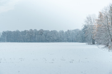 Winterlandschaft, Schnee auf einem Feld der Landwirtschaft am Waldrand