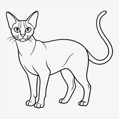 Obraz premium Abyssinian line art White background illustration Generative Ai