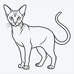 Obraz premium Abyssinian line art White background illustration Generative Ai