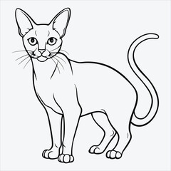 Fototapeta premium Abyssinian line art White background illustration Generative Ai