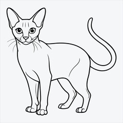 Fototapeta premium Abyssinian line art White background illustration Generative Ai