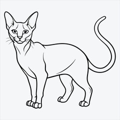 Fototapeta premium Abyssinian line art White background illustration Generative Ai