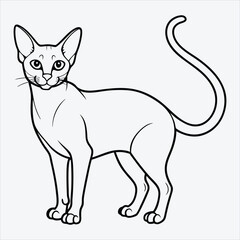 Fototapeta premium Abyssinian line art White background illustration Generative Ai