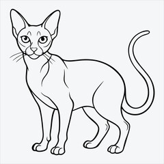 Obraz premium Abyssinian line art White background illustration Generative Ai