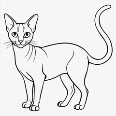 Fototapeta premium Abyssinian line art White background illustration Generative Ai